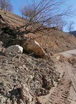 خسارت ۱۲۵ میلیاردی سیل به بخش کشاورزی کهگیلویه و بویراحمد/ تخریب ۵۰ ساختمان