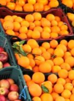 قیمت سیب و پرتقال شب عید تعیین شد/ هر کیلو ۲۵ هزار و ۵۰۰ تومان