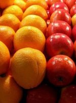 خبرخوش مدیر جهاد کشاورزی کهگیلویه: میوه شب عید با کیفیت و قیمت مناسب توزیع می شود