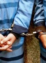 اعضای ۴ نفره گروهک تروریستی در کهگیلویه و بویراحمد دستگیر شدند