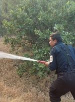 تداوم آتش‌سوزی جنگل‌های مریوان برای سومین روز متوالی / سازمان منابع طبیعی: مساحت دقیقی از جنگل‌های سوخته در دست نیست / آتش چند بار مهار اما دوباره شعله‌ور شده / در این حادثه ۶ نفر بر اثر انفجار مین جامانده از جنگ مصدوم شدند