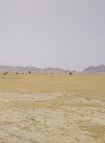 ساخت پترو پالایشگاه گچساران با اشتغالزایی یکهزارو ۵۰۰ نفر بزودی آغاز می شود