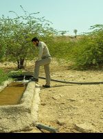 کمبود ۲۳۷ محیط‌بان در کهگیلویه وبویراحمد