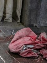 روایت زائرِ لارستانی که برای ادای نذر به حرم شاهچراغ(ع) آمده بود روایت زائرِ لارستانی که برای ادای نذر به حرم شاهچراغ(ع) آمده بود