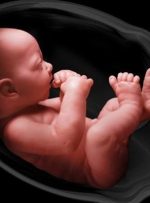 تصمیم «شوکه کننده» وزارت بهداشت / غربالگری جنین غیرممکن شد؟