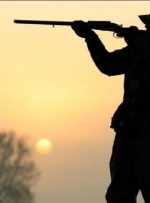 حکم جالب یک قاضی برای شکارچی متخلف دنا