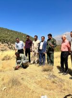 ۲ بهله پرنده شکاری به آغوش طبیعت کهگیلویه وبویراحمد بازگشتند