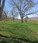 تخریب کوه و زمین‌خواری در منطقه حفاظت‌شده دنا به بهانه باغداری