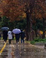 سامانه بارشی کهگیلویه و بویراحمد را فرا می‌گیرد