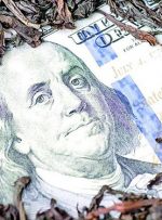 بانک مرکزی اعلام کرد: حتی یک دلار هم ارز ترجیحی به واردات چای ندادیم