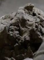 کشف بقایای ۲۰ انسان در تخت جمشید کشف بقایای ۲۰ انسان در تخت جمشید