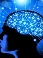 نقش هیات های اندیشه ورز در توسعه کهگیلویه و بویراحمد