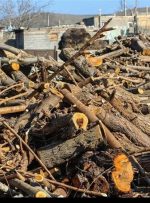 کشف ۴ محموله قاچاق چوب در کهگیلویه و بویراحمد