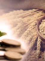 مبلغ فطریه امسال از سوی رهبر انقلاب اعلام شد