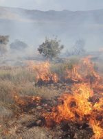 وقوع آتش سوزی در جنگل های کوه سیاه سرفاریاب