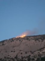 وقوع آتش سوزی شدید در جنگلهای آب حیات بخش سرفاریاب وقوع آتش سوزی شدید در جنگلهای آب حیات بخش سرفاریاب