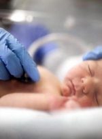 پزشک گچسارانی امید را در دل زوج های نابارور زنده کرد