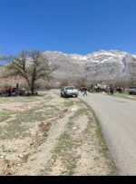 حمله آفت جوانهخوار به ۲۵ هزار هکتار از جنگلهای بلوط حمله آفت جوانهخوار به ۲۵ هزار هکتار از جنگلهای بلوط 