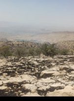 واکنش منابع طبیعی به آتش سوزی دیل؛ آتش در محدوده مدیریت محیط زیست بود