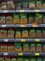 کاهش قیمت حبوبات در آستانه فصل برداشت